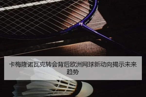 卡梅隆诺瓦克转会背后欧洲网球新动向揭示未来趋势